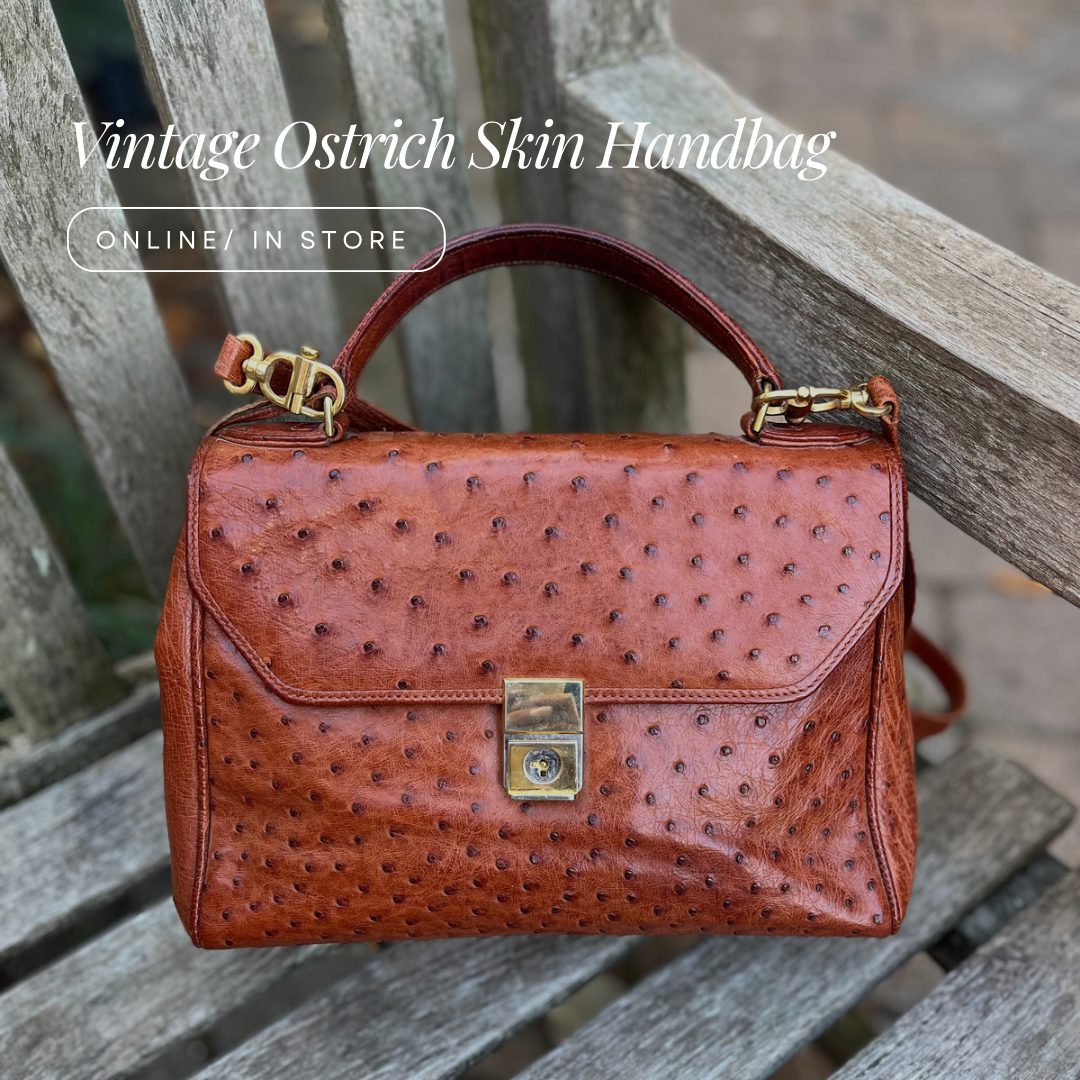 Vintage Ostrich Skin Handbag Raks Thrift Avenue
